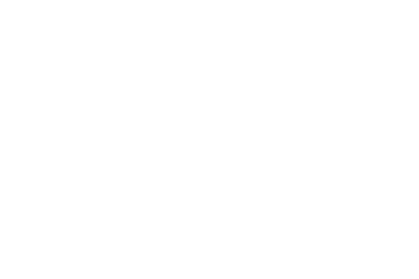 logo magellium artal group
