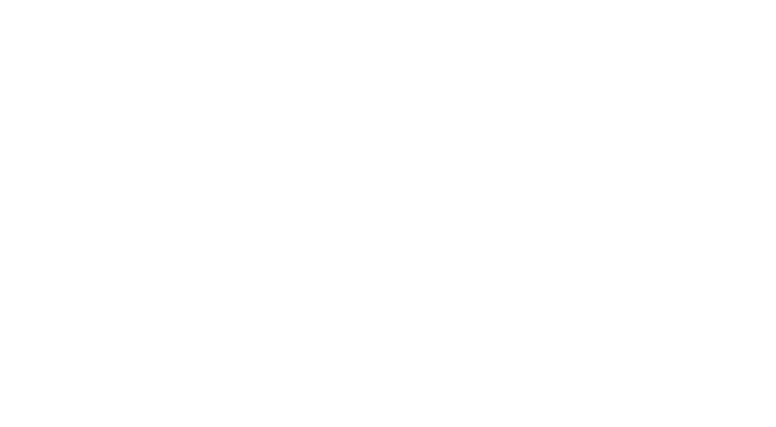 Magellium Artal Group logo blanc