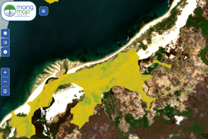 garimpias orpaillage cartographie mangroves madagascar magellium artal group