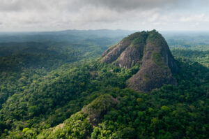 GeoNature Survol du Pic Coudreau du sud de la Guyane