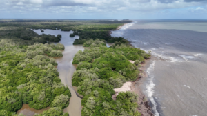 Geonature Réserve naturelle nationale de l'Amana Vue Drone 